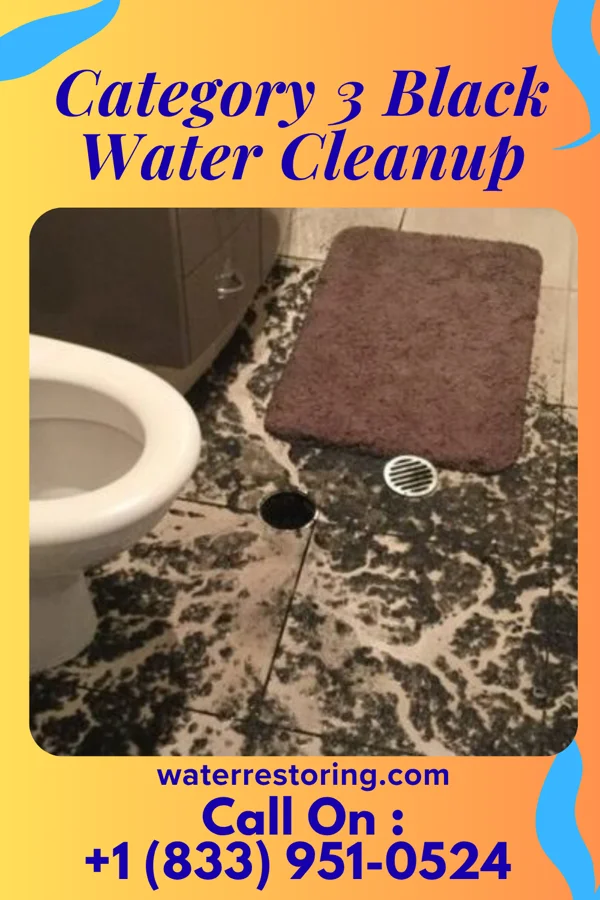 Category 3 Black Water Cleanup in Shenandoah, LA