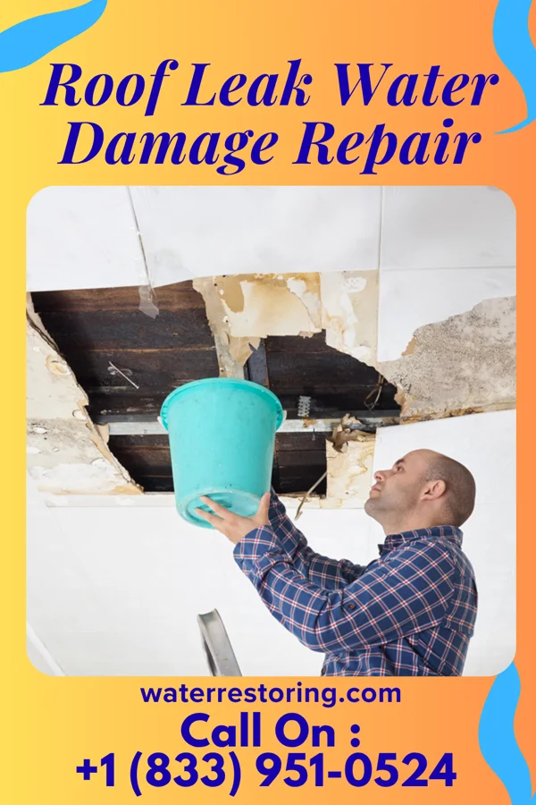 Roof Leak Water Damage Repair in Shenandoah, LA